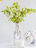 Glass Bottle Vases