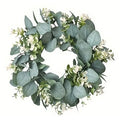 Eucalyptus Wreaths 12"