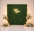 Boxwood Wall 8'x8'