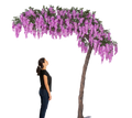 Purple Wisteria Tree 11 FT